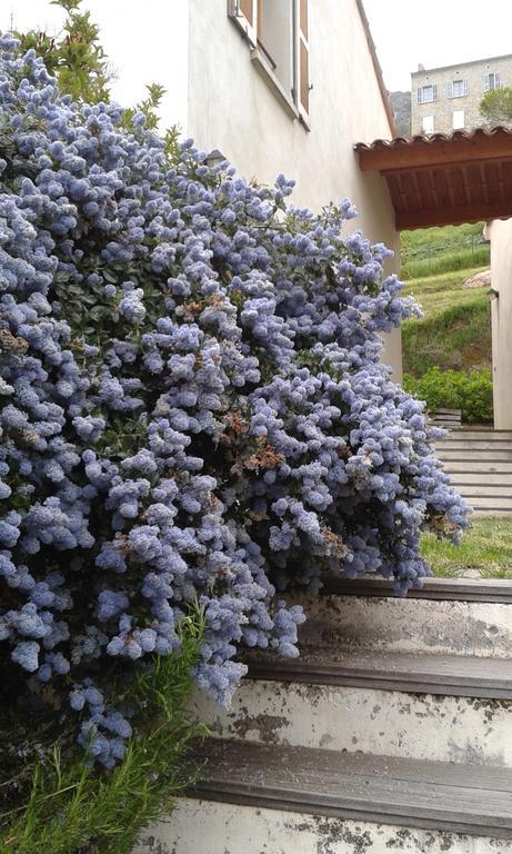 Cote Lac Tolla Εξωτερικό φωτογραφία
